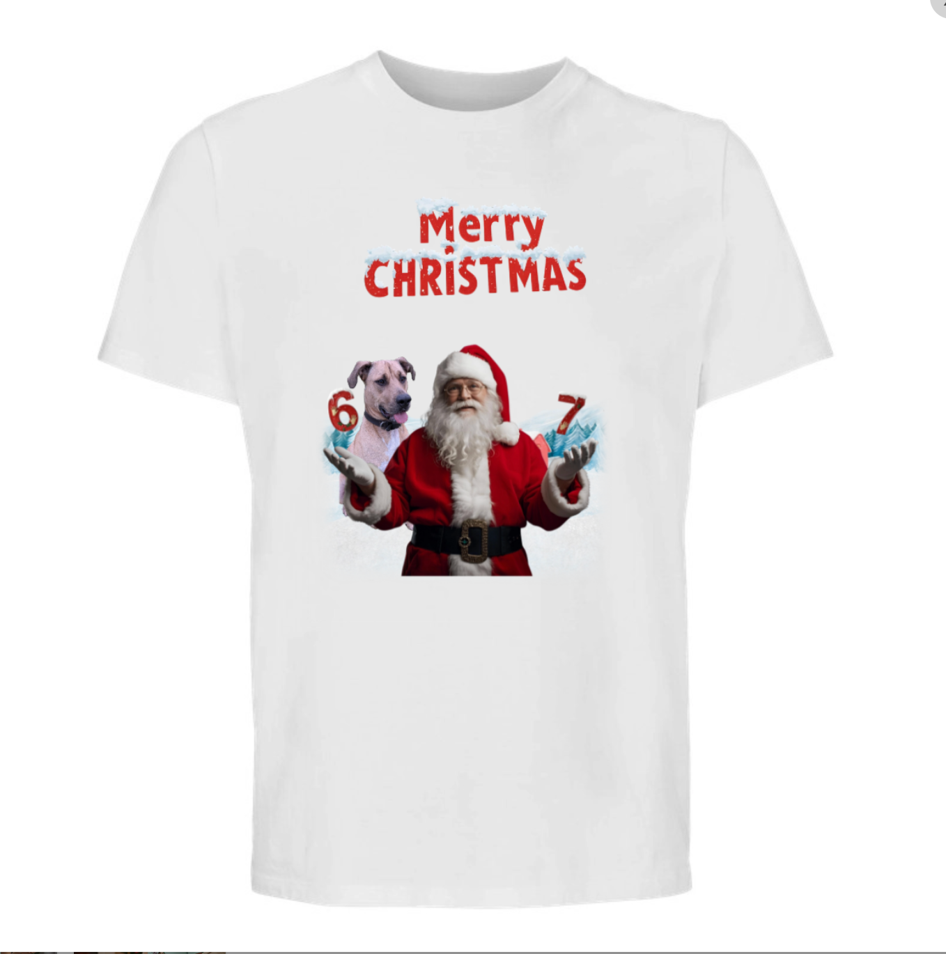 Xmas Tshirt - Santa, Elf & pets