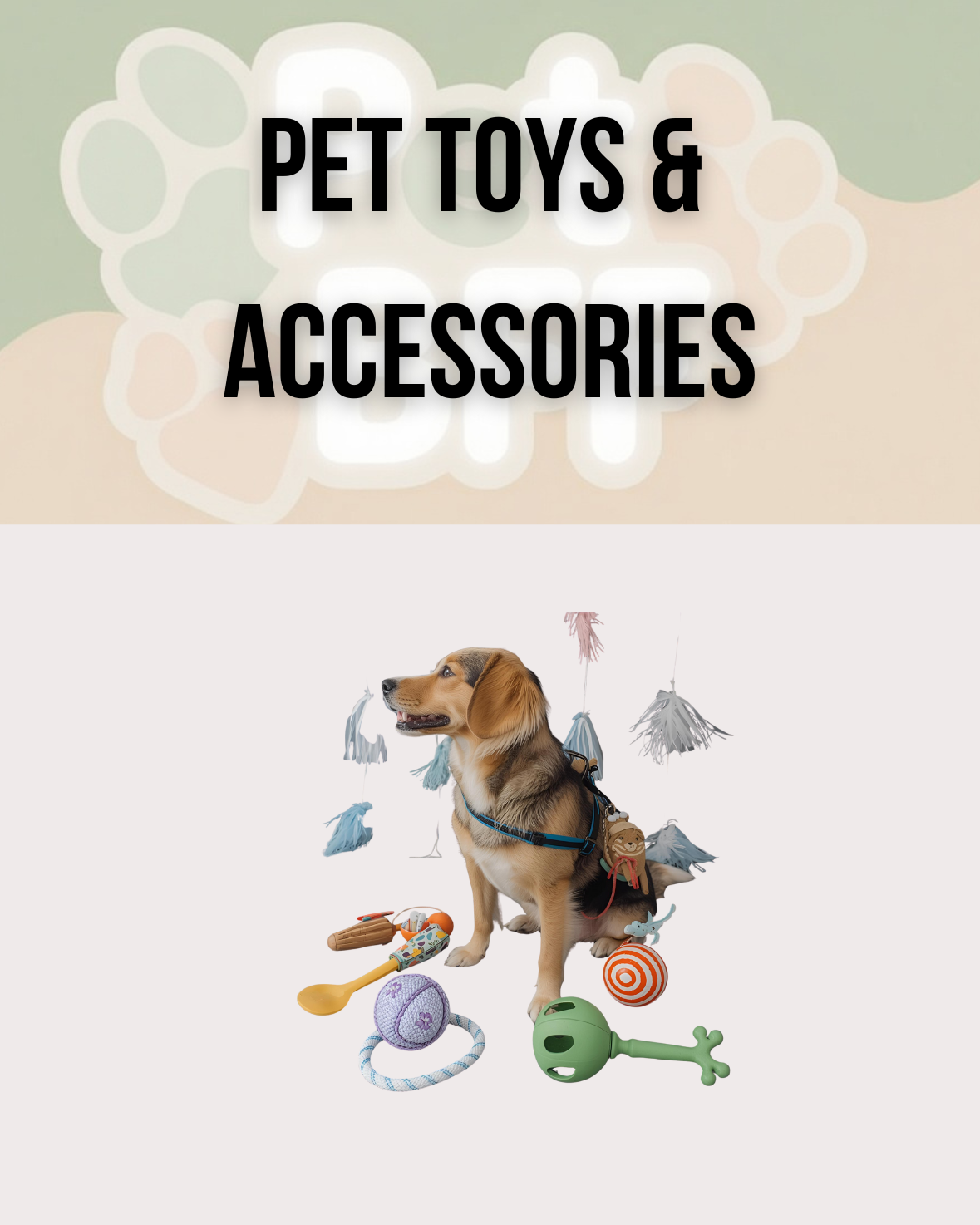 Pet Toys & Accessories