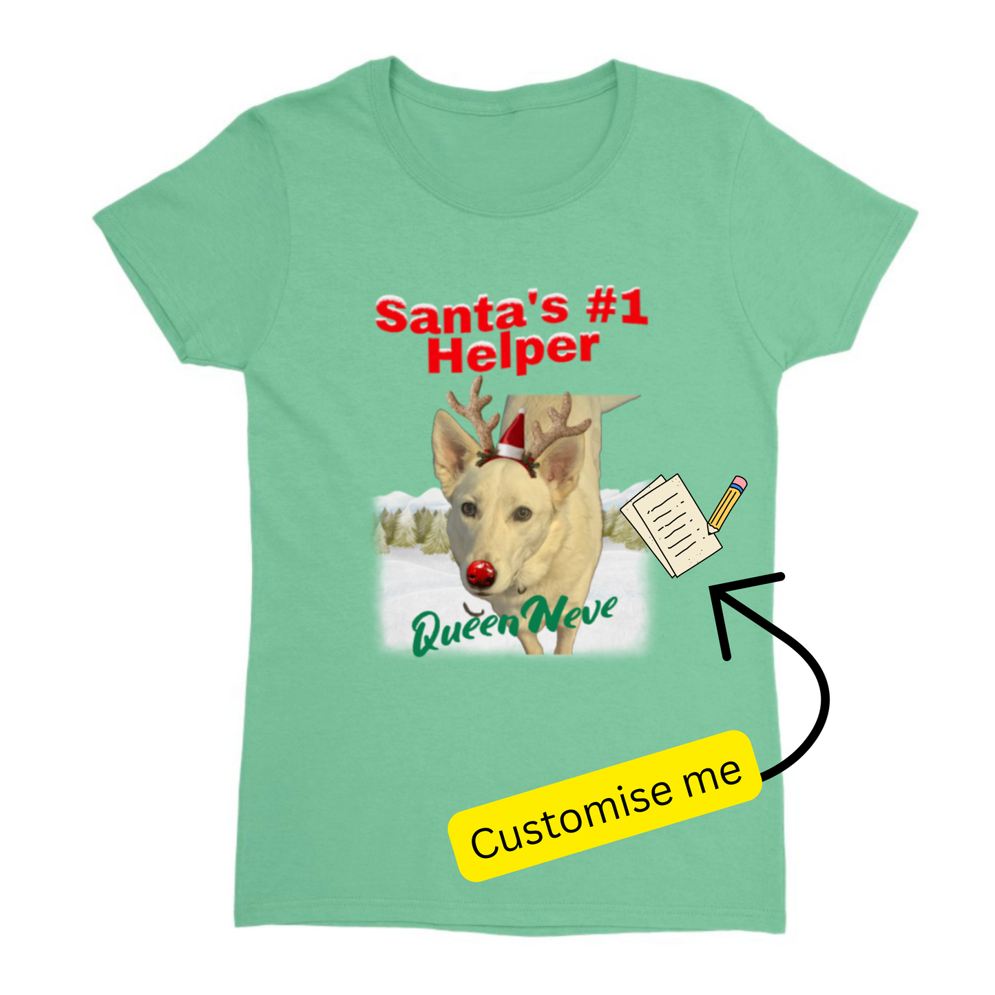 T-Shirt - Move Over Rudolph