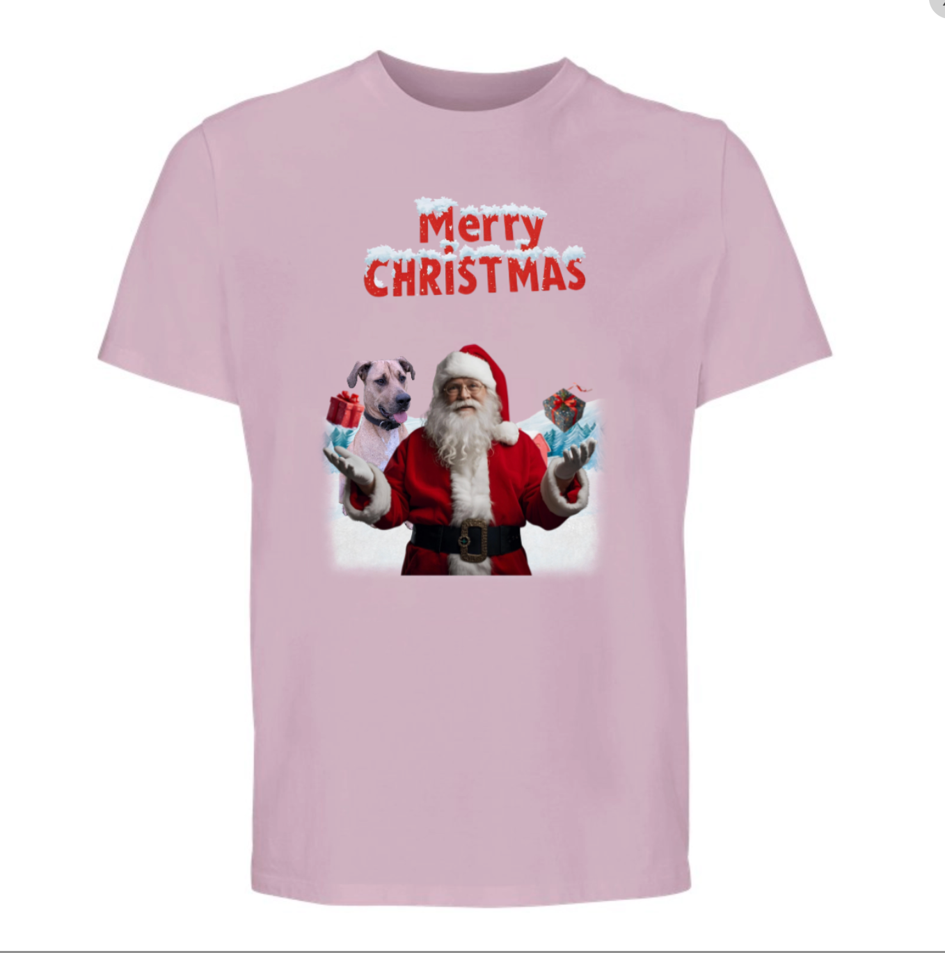 Xmas Tshirt - Santa, Elf & pets
