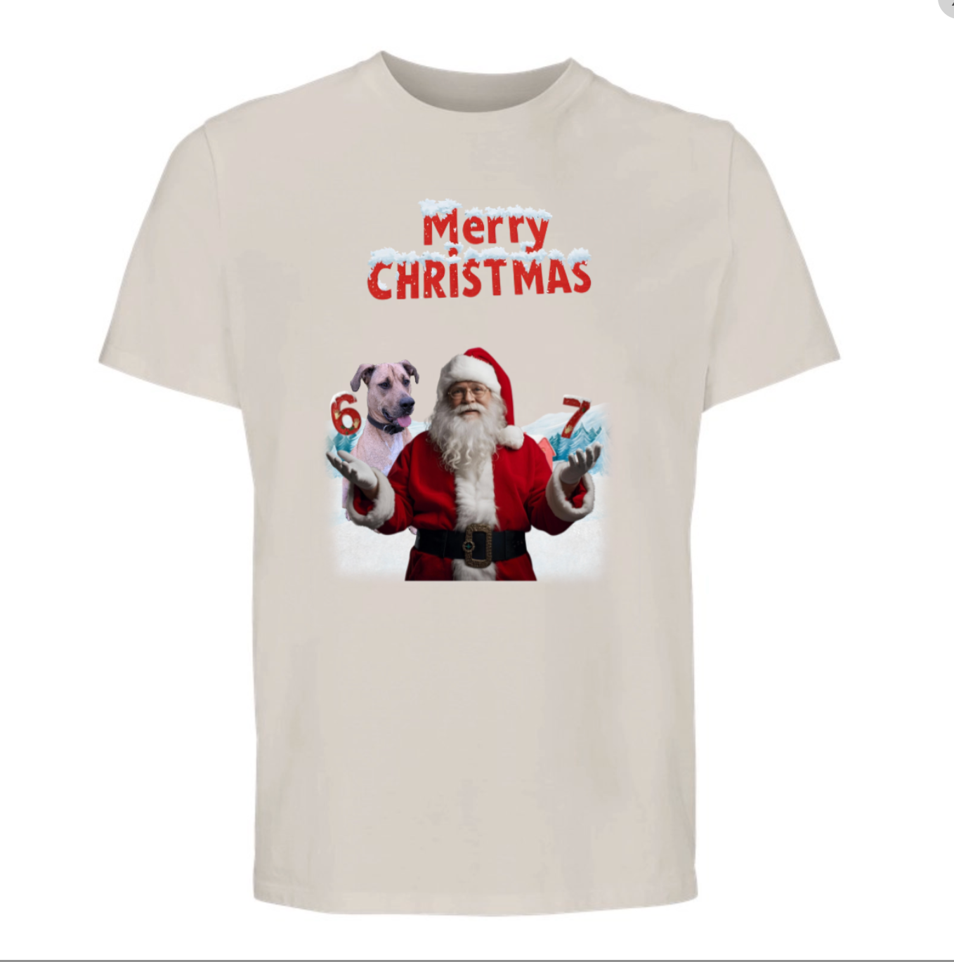 Xmas Tshirt - Santa, Elf & pets
