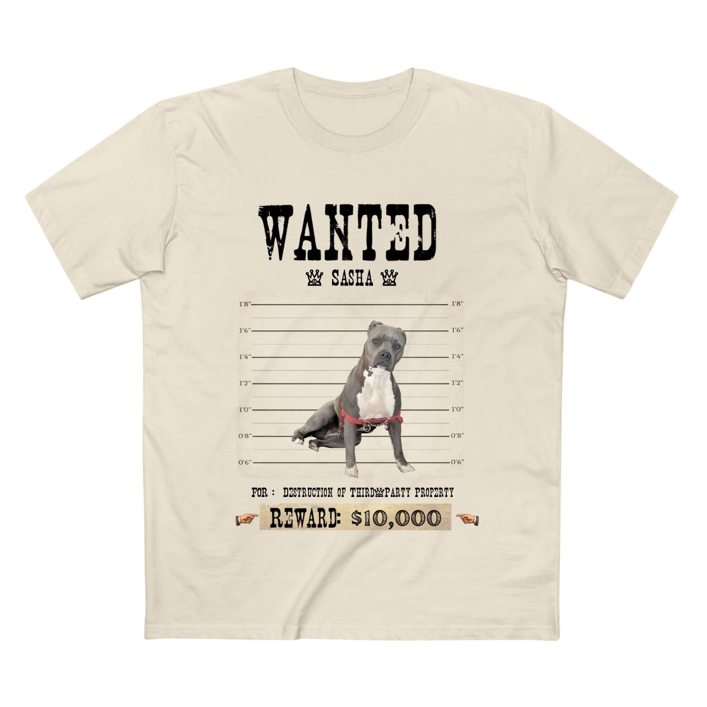 A light beige crewneck t-shirt featuring a 'WANTED' poster graphic for a pitbull named Sasha, with a mugshot-style photo, height lines, and a reward of $10,000.